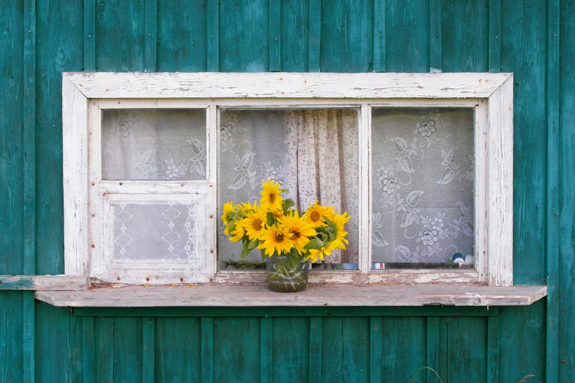 Ventana con planta de girasoles