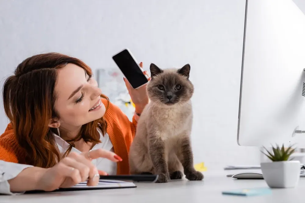 Mujer sentada en un escritorio con un gato, sosteniendo el teléfono. 