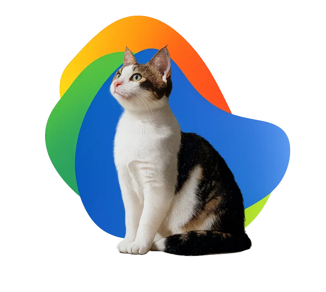 Gato con pelaje blanco, marrón y negro, sentado, mirando hacia arriba, con un fondo de formas abstractas coloridas.