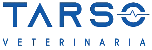 Logotipo de Tarso Veterinaria, texto azul sobre fondo blanco.