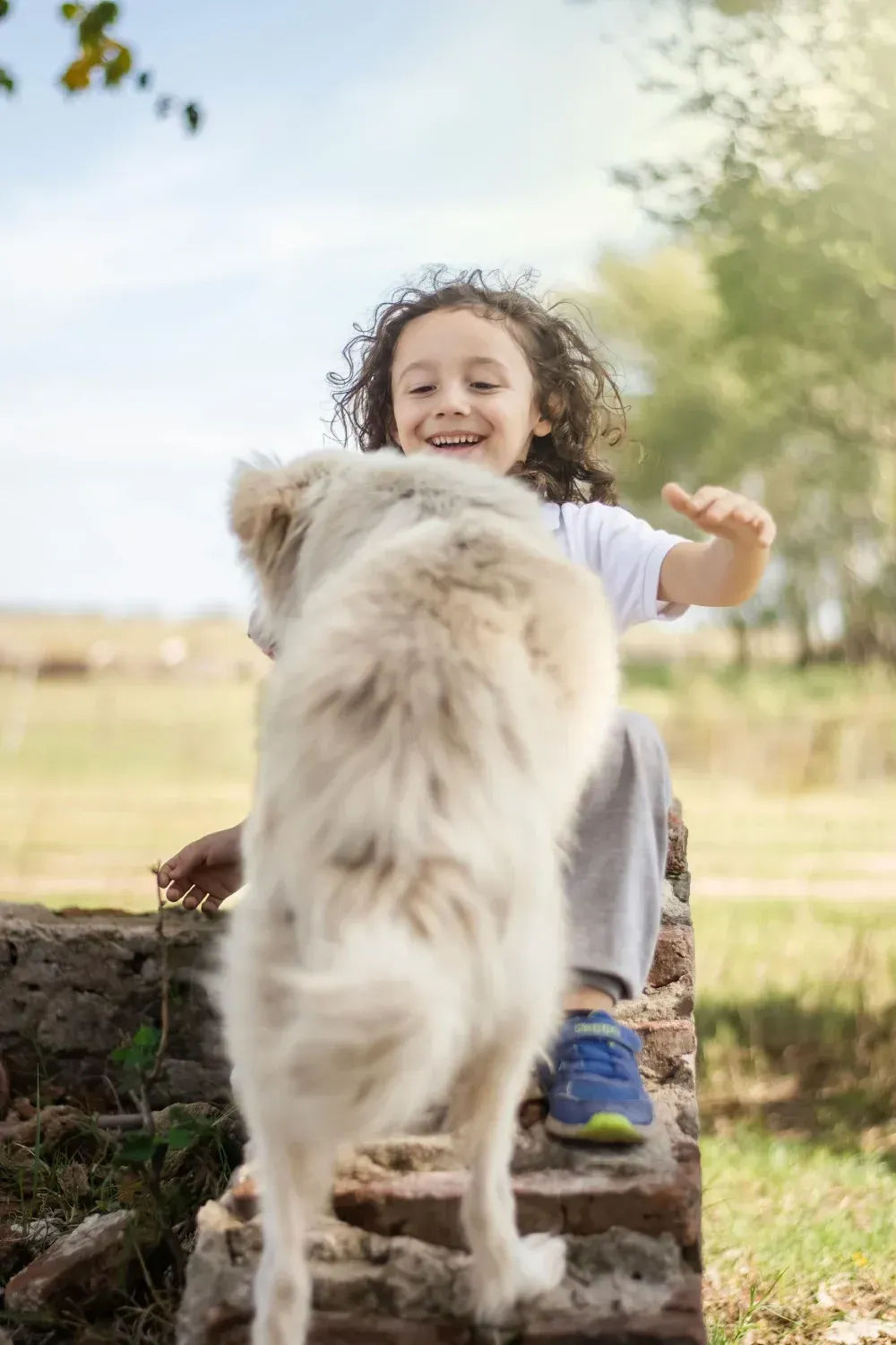 Un niño con cabello rizado sonríe mientras un perro grande y esponjoso