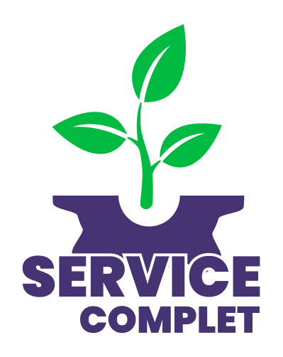 Roue crantée et petite plante