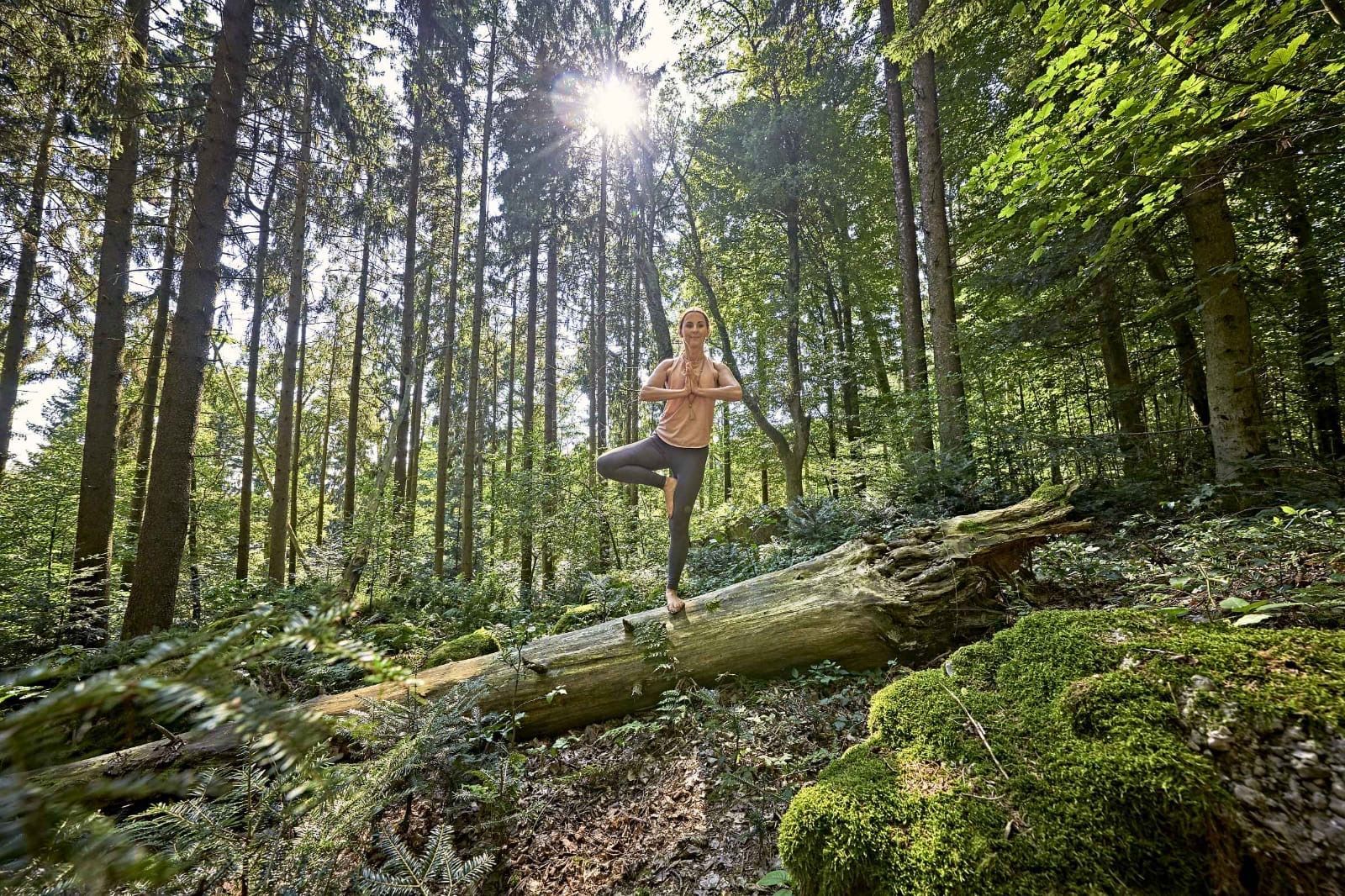 Eine Wanderung im Wald in Bad Birnbach wird durchgeführt.