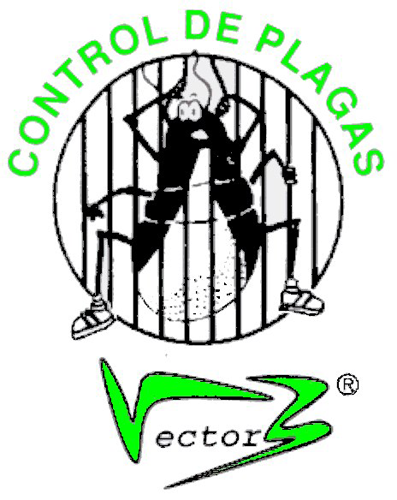 logotipo cabecera