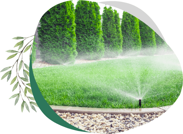 Ein Sprinkler sprüht Wasser auf einen üppigen grünen Rasen.