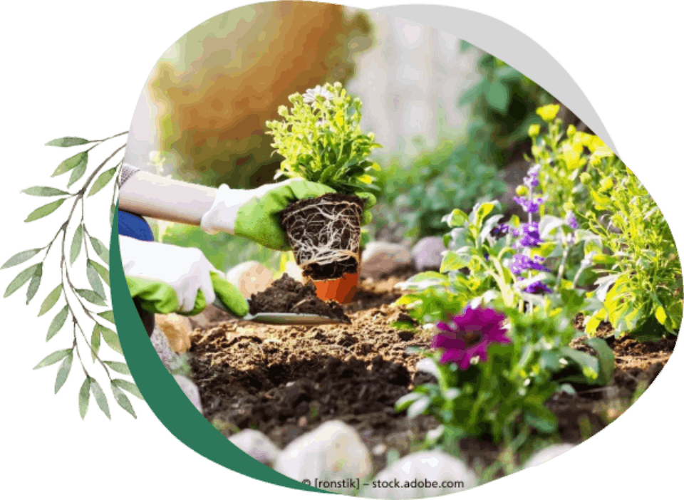 Eine Person pflanzt Blumen in einem Garten.