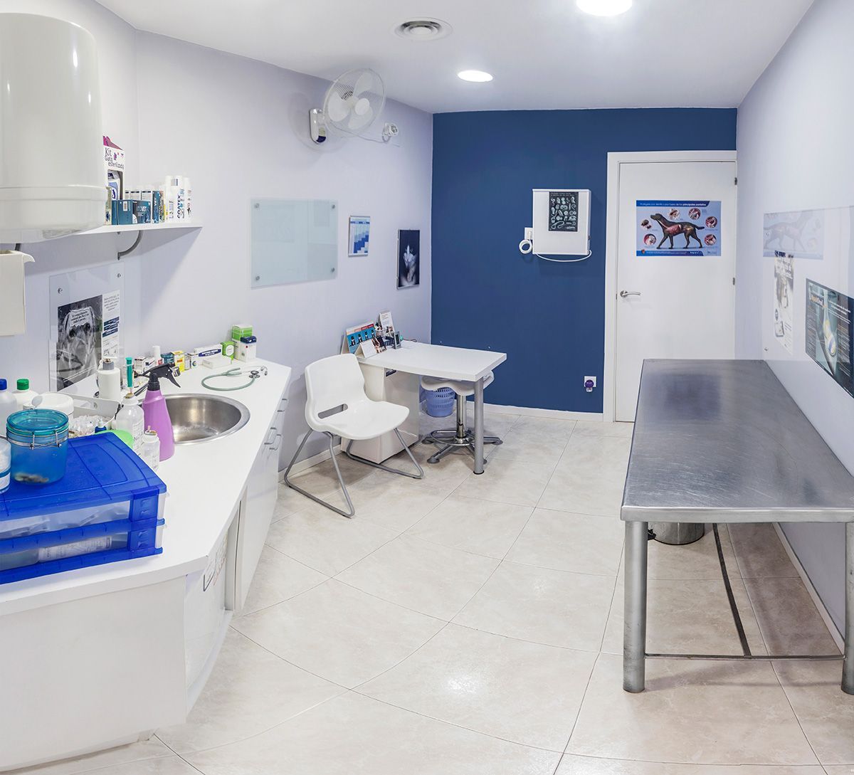 Sala de examen veterinario. Paredes blancas y azules. Mesa de examen de acero inoxidable, mostradores blancos con lavabo y suministros médicos.