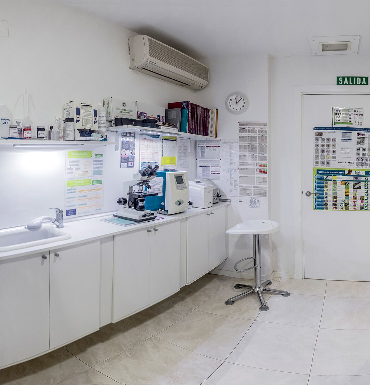 Laboratorio veterinario con gabinetes blancos, equipo y microscopio. Incluye lavabo, aire acondicionado y puerta de salida.