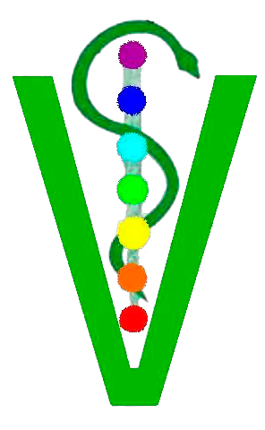 "V" verde con bast&oacute;n de Asclepio y colores de chakra.