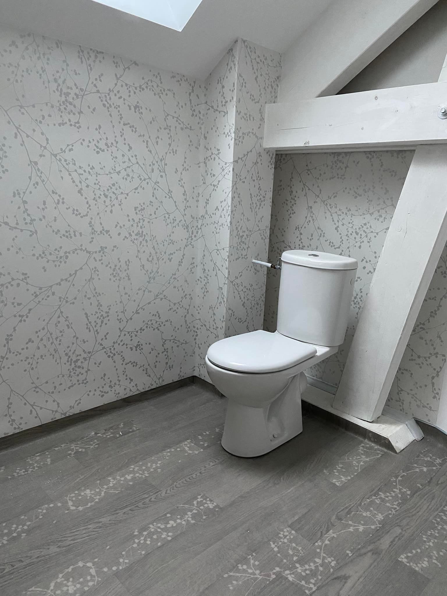 Papier peint à motifs dans des toilettes