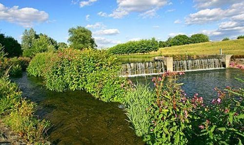 Ein sonnenbeschienener Kanal neben einer üppigen Hecke, mit einem kleinen Wasserfall und blühenden Pflanzen unter blauem Himmel.