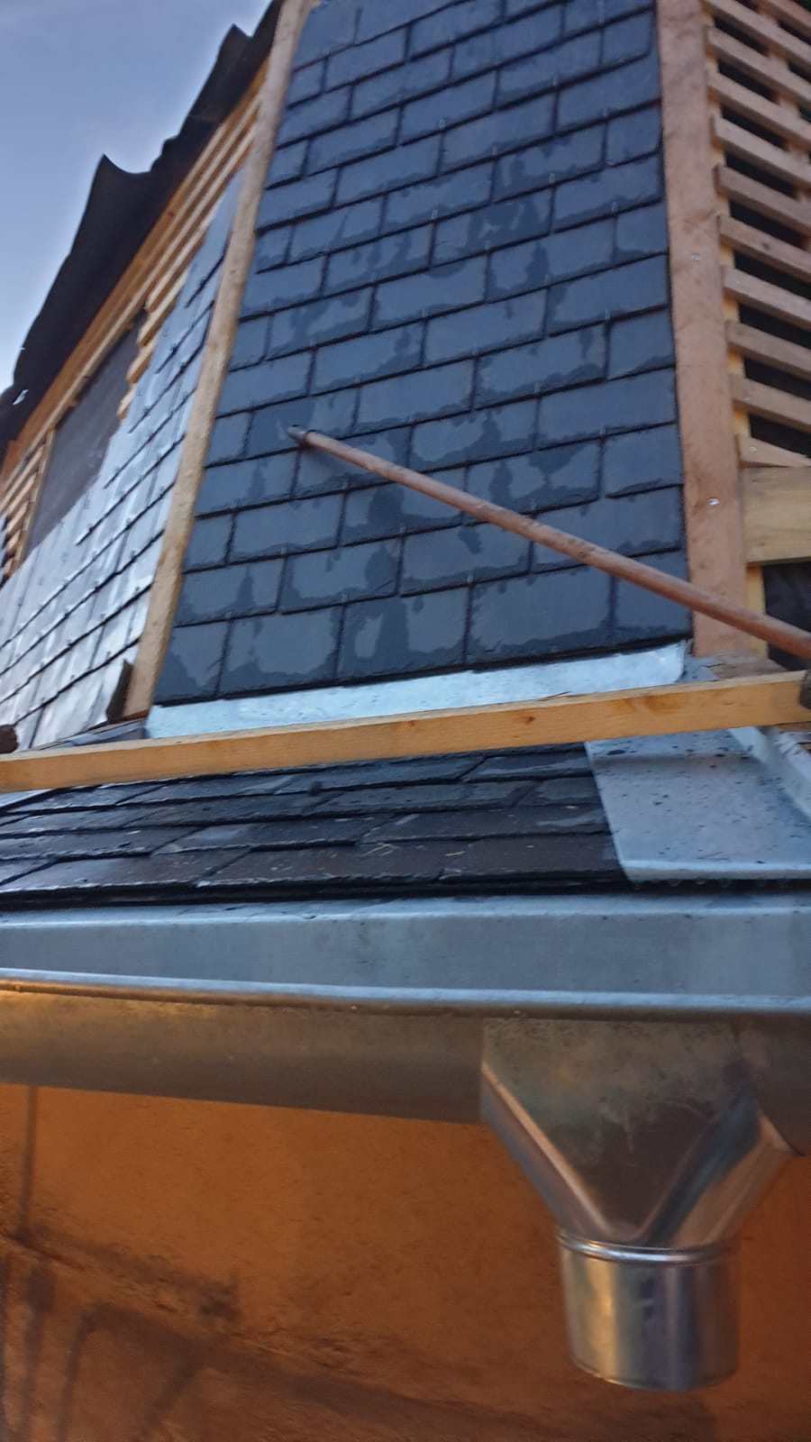 Entretien et nettoyage de toiture