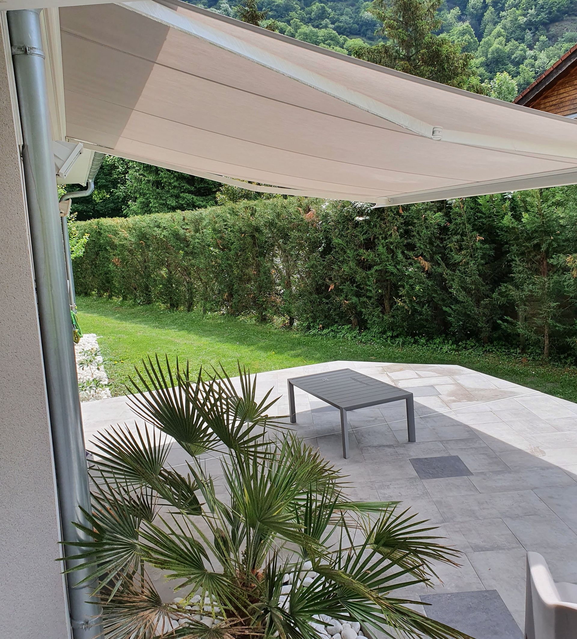 Store banne sur une terrasse avec un palmier