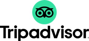 Logotipo de Google Reviews con el texto