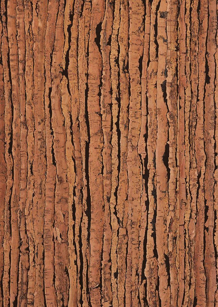 Eine Nahaufnahme eines Stücks Holz, das wie ein Baumstamm aussieht