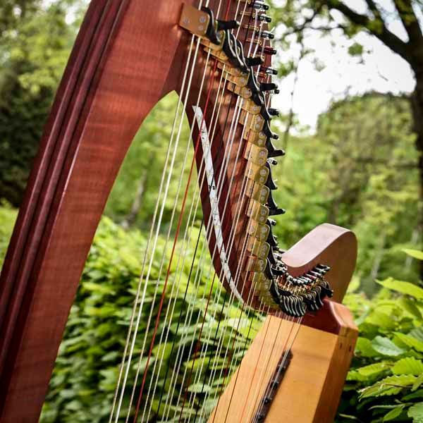 Bild einer Harfe