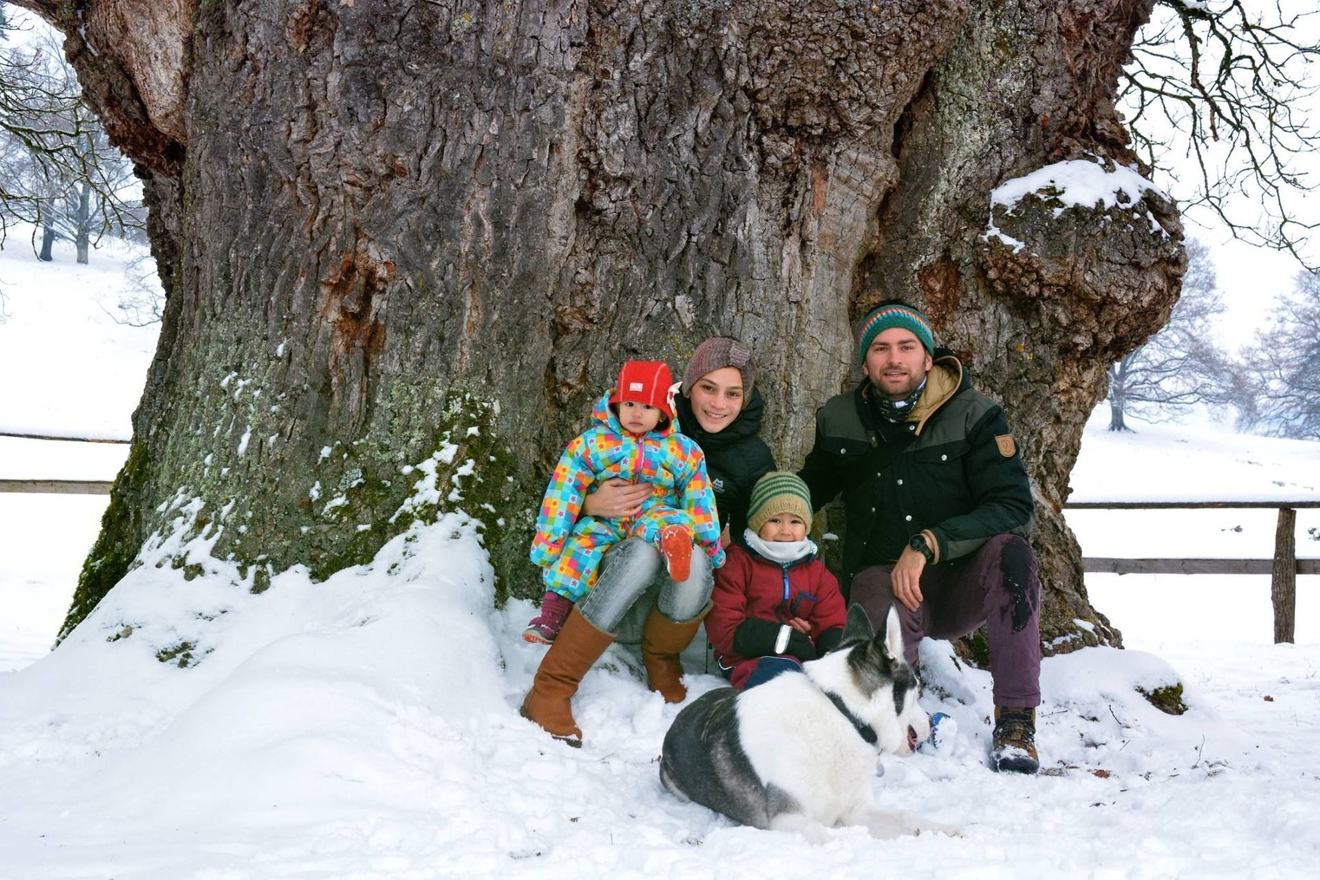 Baumpflege Simon Basel