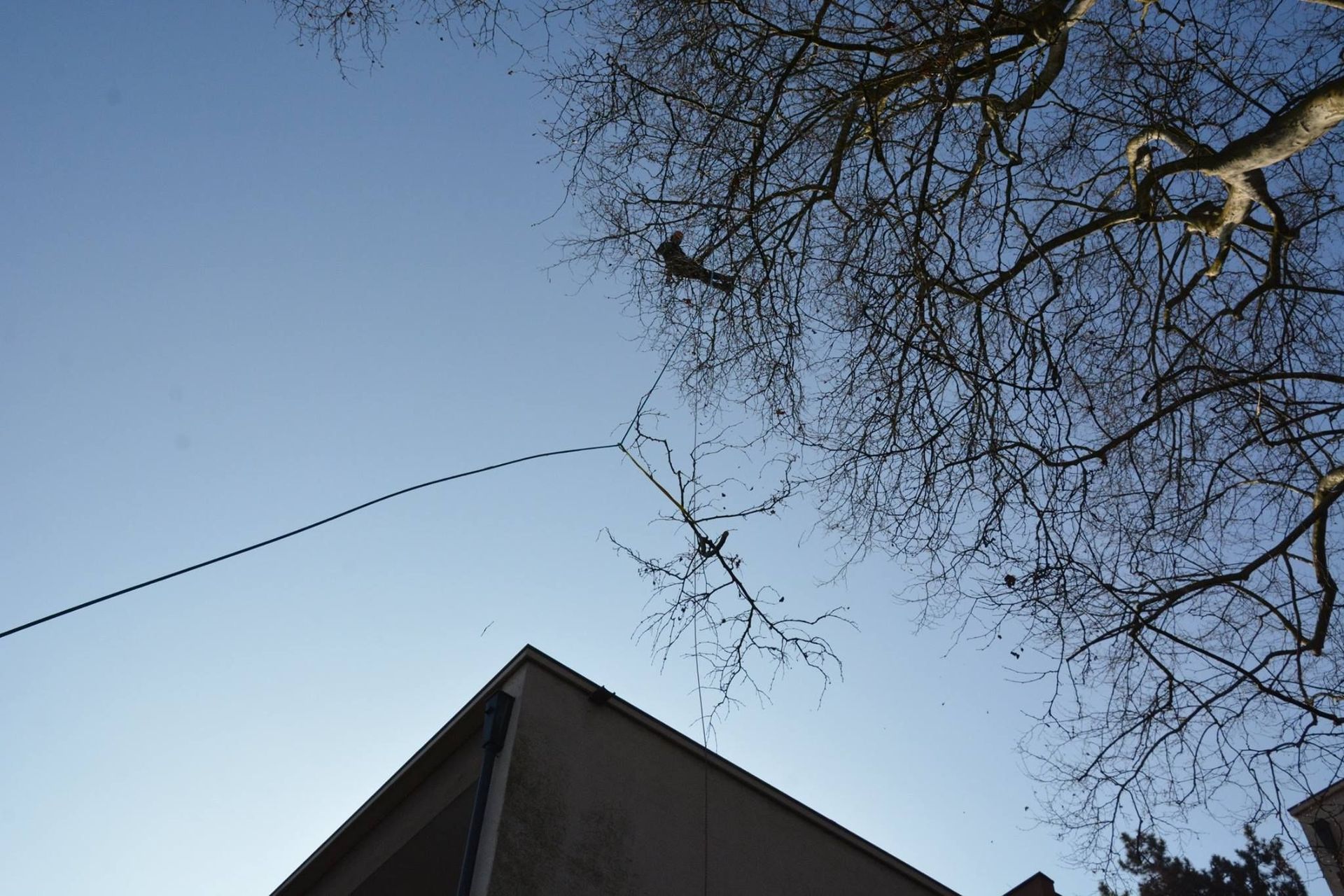 Baumpflege Simon Basel