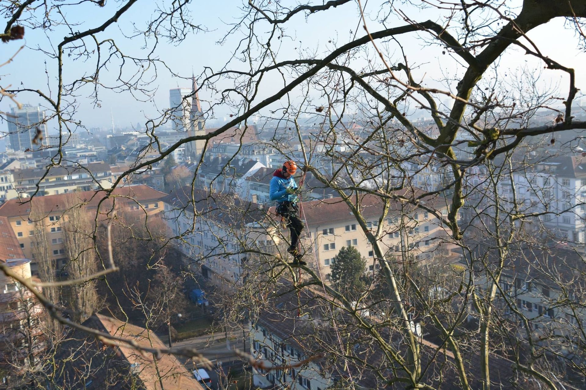 Baumpflege Simon Basel