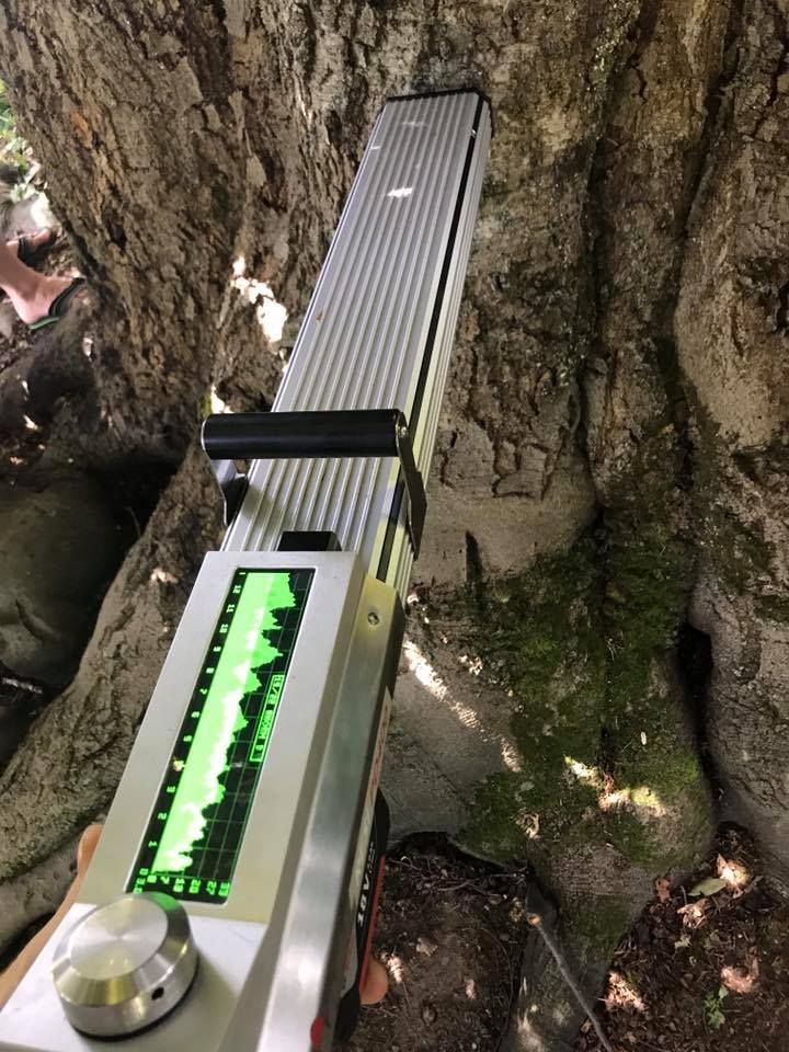 Baumpflege Simon Basel