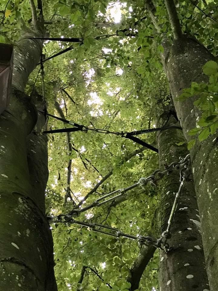 Baumpflege Simon Basel