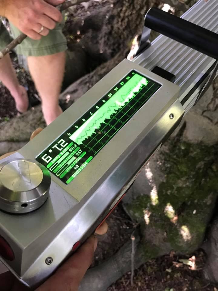 Baumdiagnose - Baumpflege Simon Basel