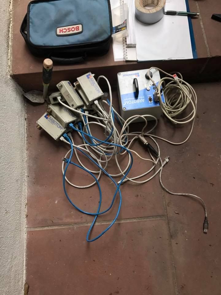 Baumpflege Simon Basel