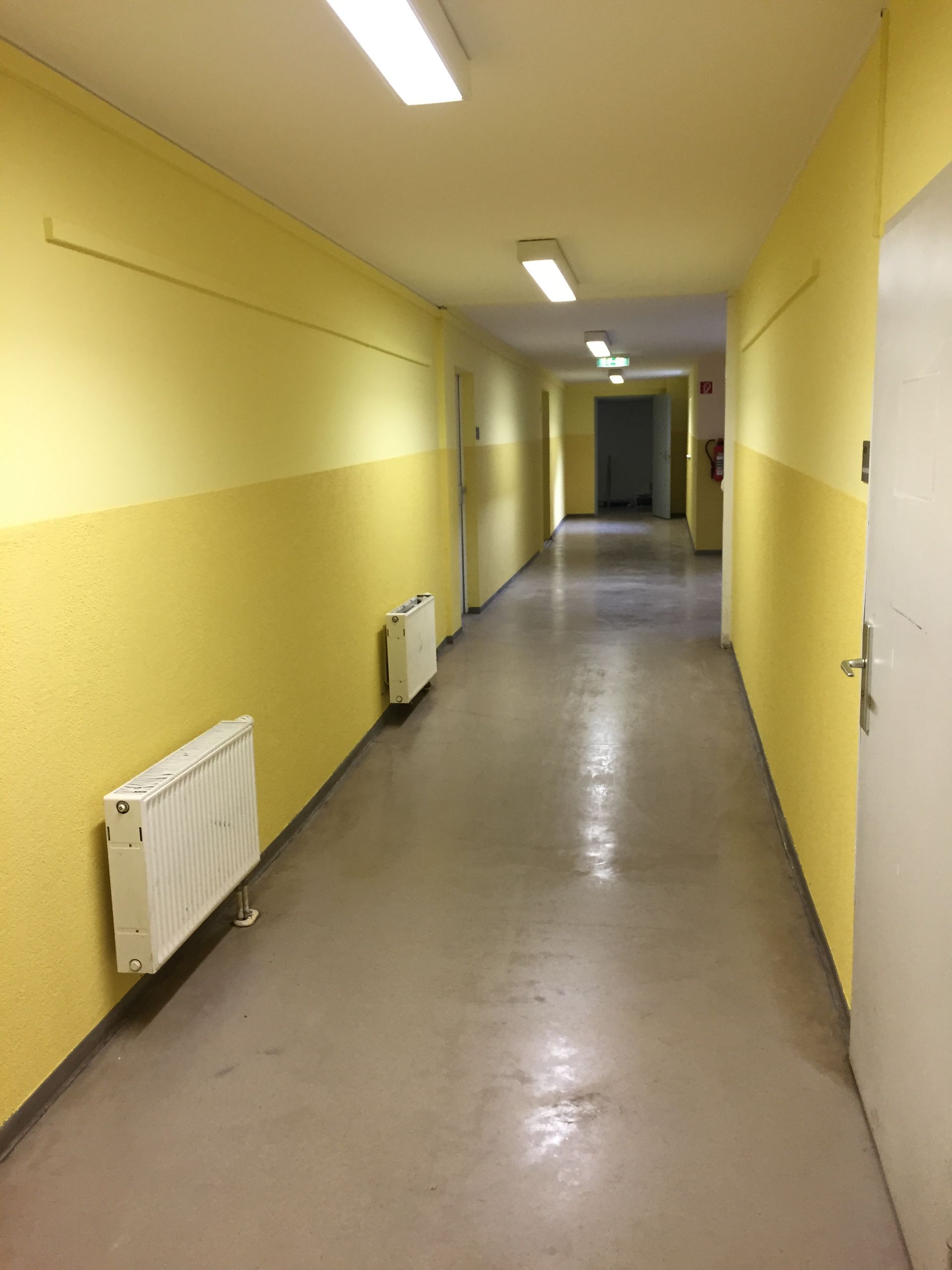 Schule in Großbeeren, blauer Streifen an der Wand des Flures