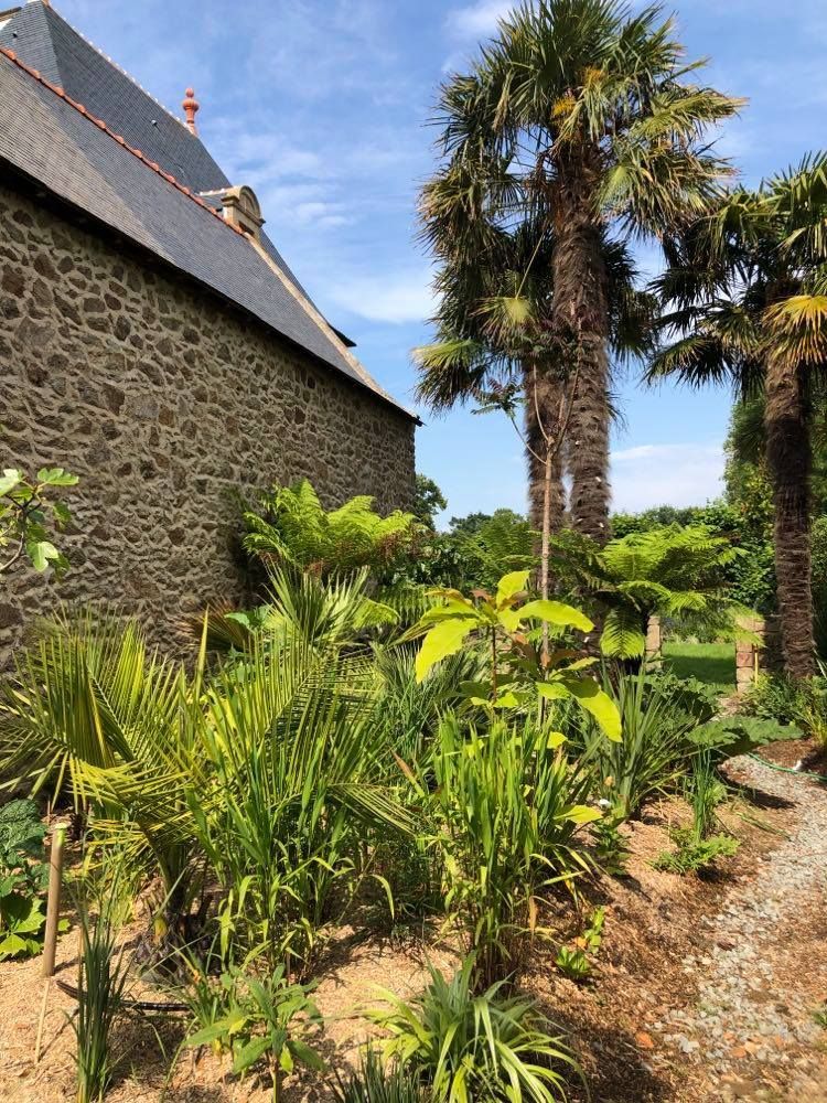 Bâtiment en pierre jouxtant un jardin tropical avec des palmiers et un chemin de gravier sous un ciel bleu.