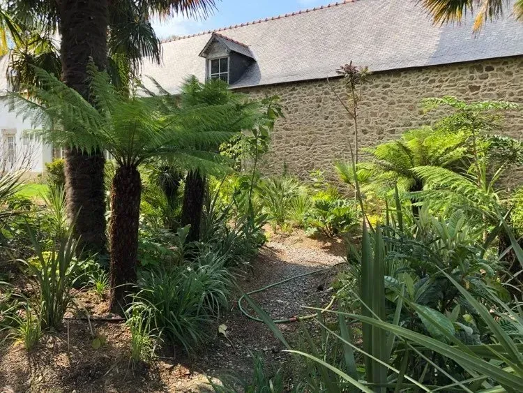 Allée de jardin tropical longeant un bâtiment en pierre, bordée de palmiers et de plantes verdoyantes.