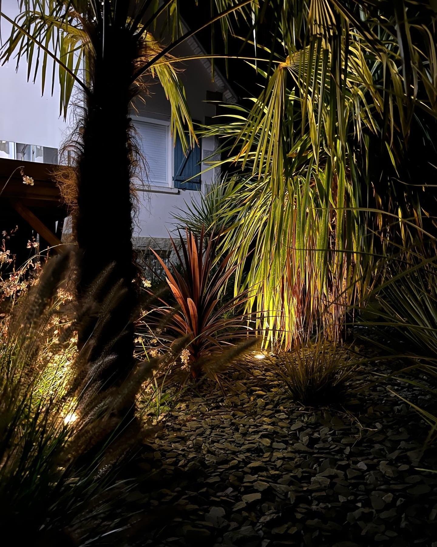 Jardin tropical illuminé la nuit, avec des palmiers et une maison en arrière-plan.