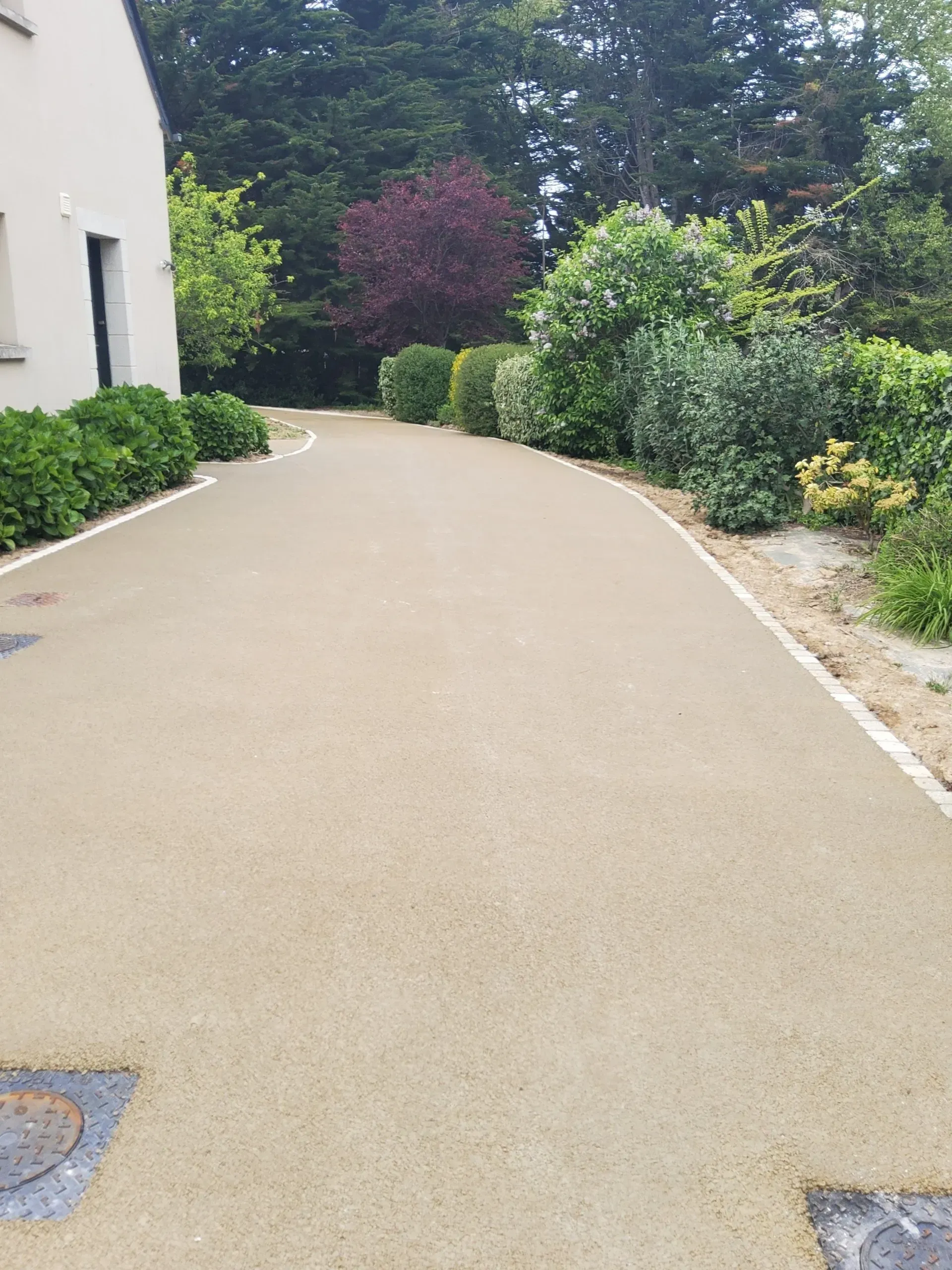 Allée carrossable beige vide, bordée d'arbustes et d'arbres verts, longeant un bâtiment.