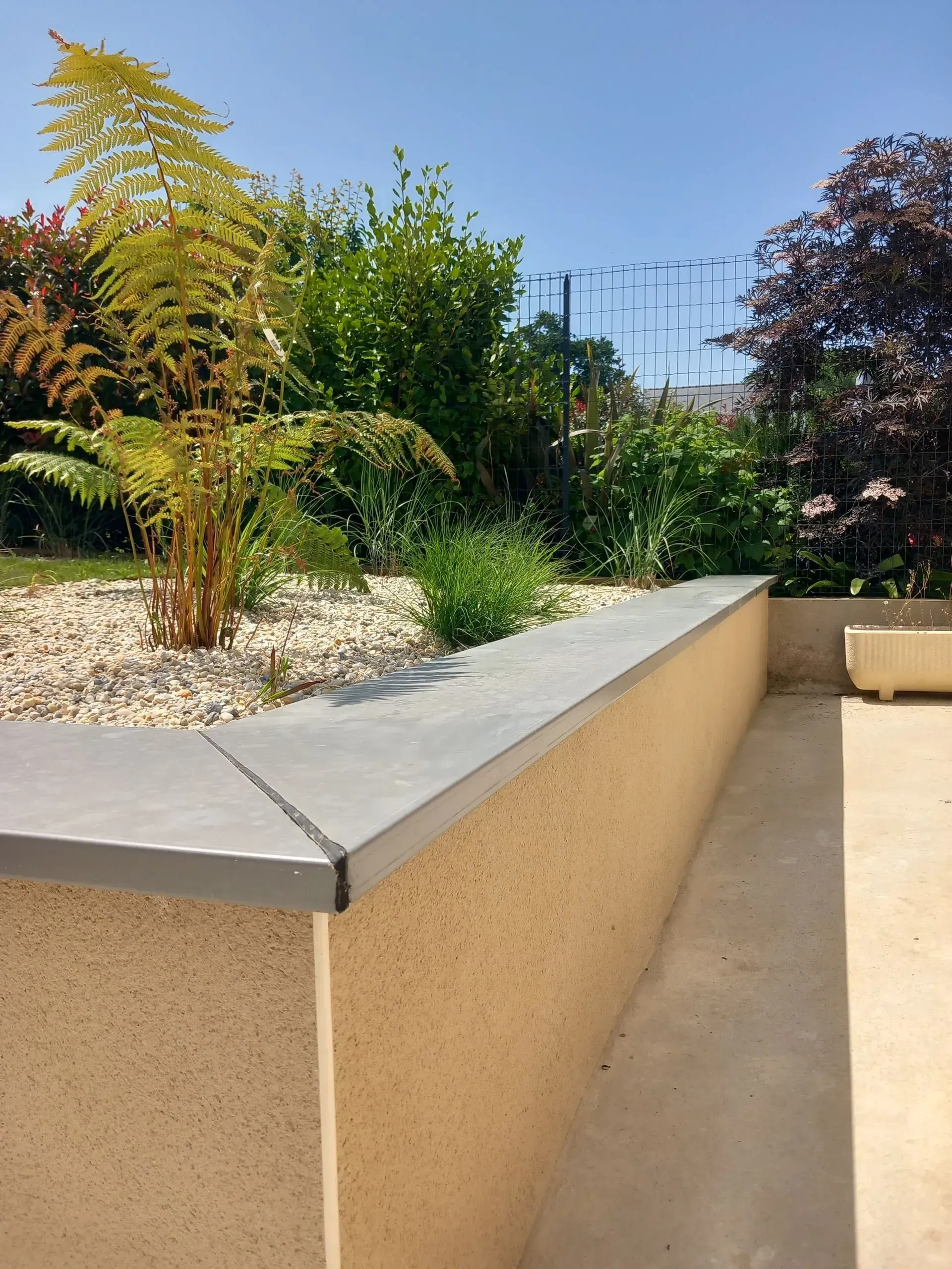Jardinière surélevée avec arbustes et petit arbre au bord d'une allée beige baignée de soleil.