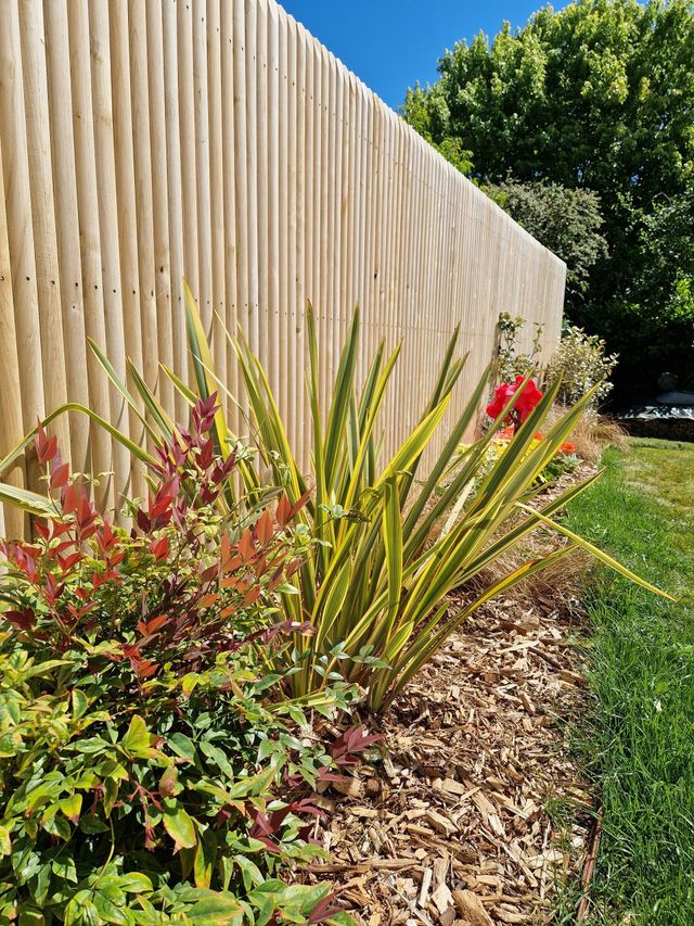 Clôture en bois avec plantes de jardin colorées et paillis le long d'une bordure de pelouse ensoleillée.