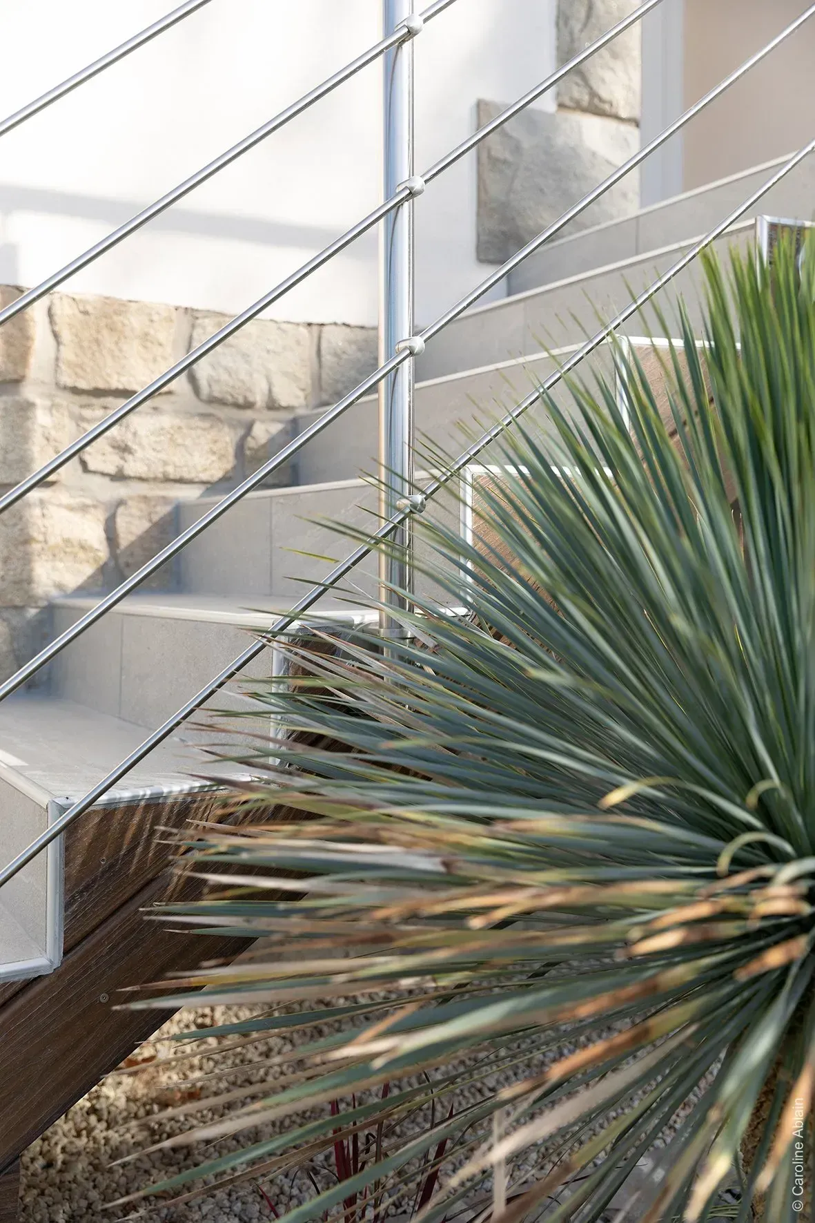 Escalier métallique jouxtant une grande plante désertique épineuse et un mur de pierre à l'extérieur d'un bâtiment moderne.