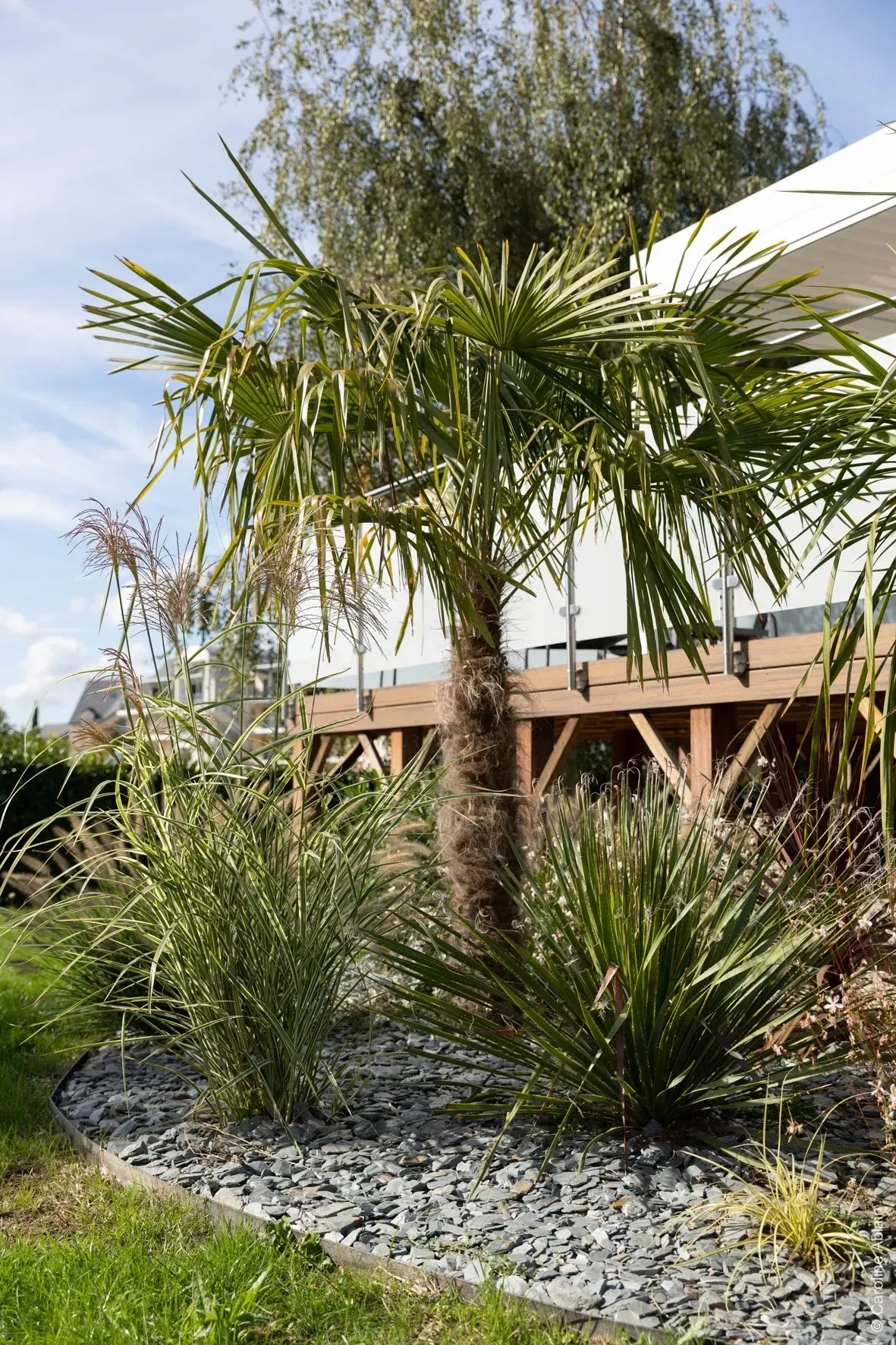 Palmiers et arbustes tropicaux dans un jardin paysager, à côté d'une terrasse en bois et d'une canopée blanche, sous un ciel bleu.