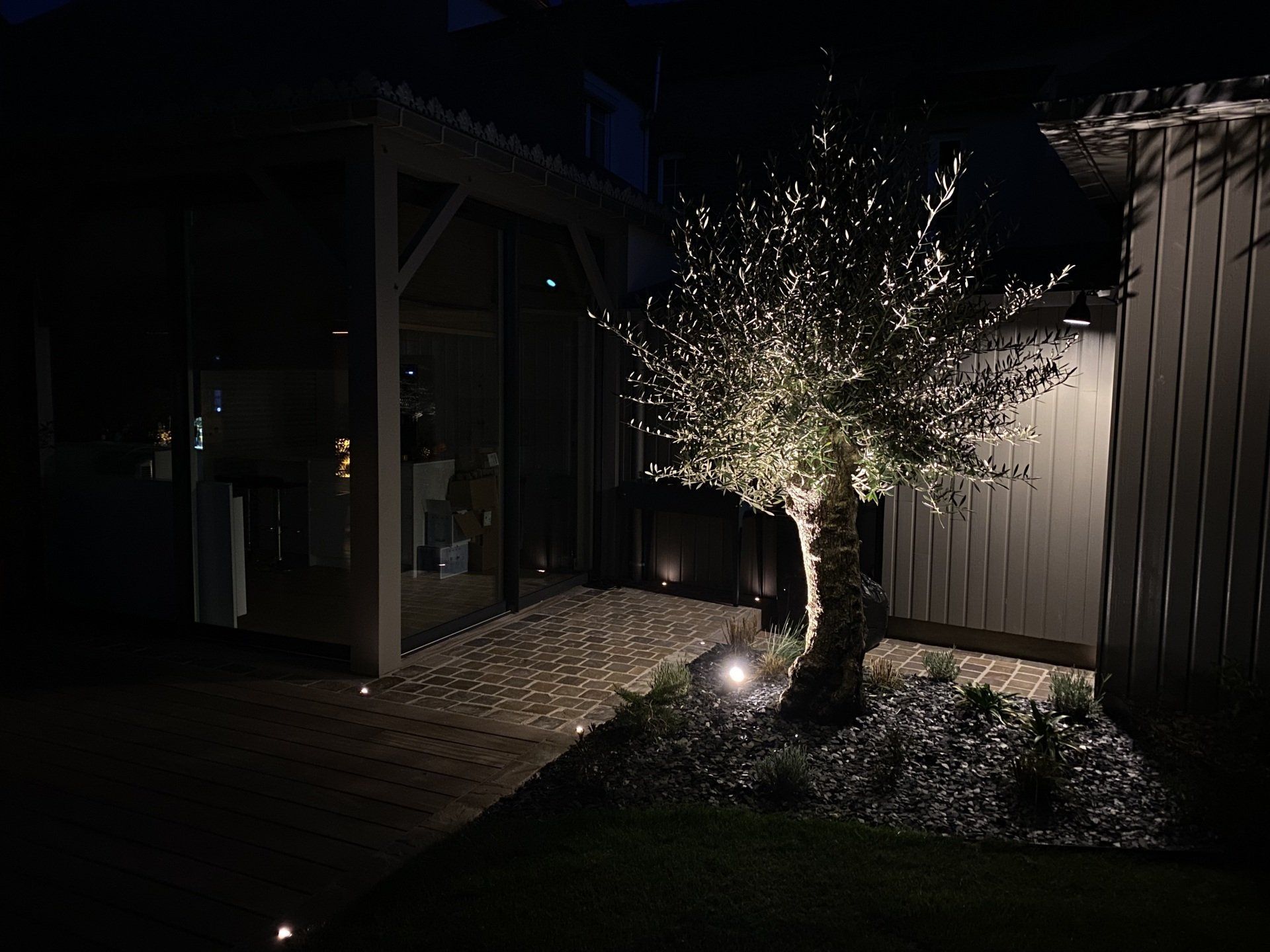 Jardin nocturne avec un arbre illuminé, un projecteur et l'entrée d'une maison en arrière-plan.