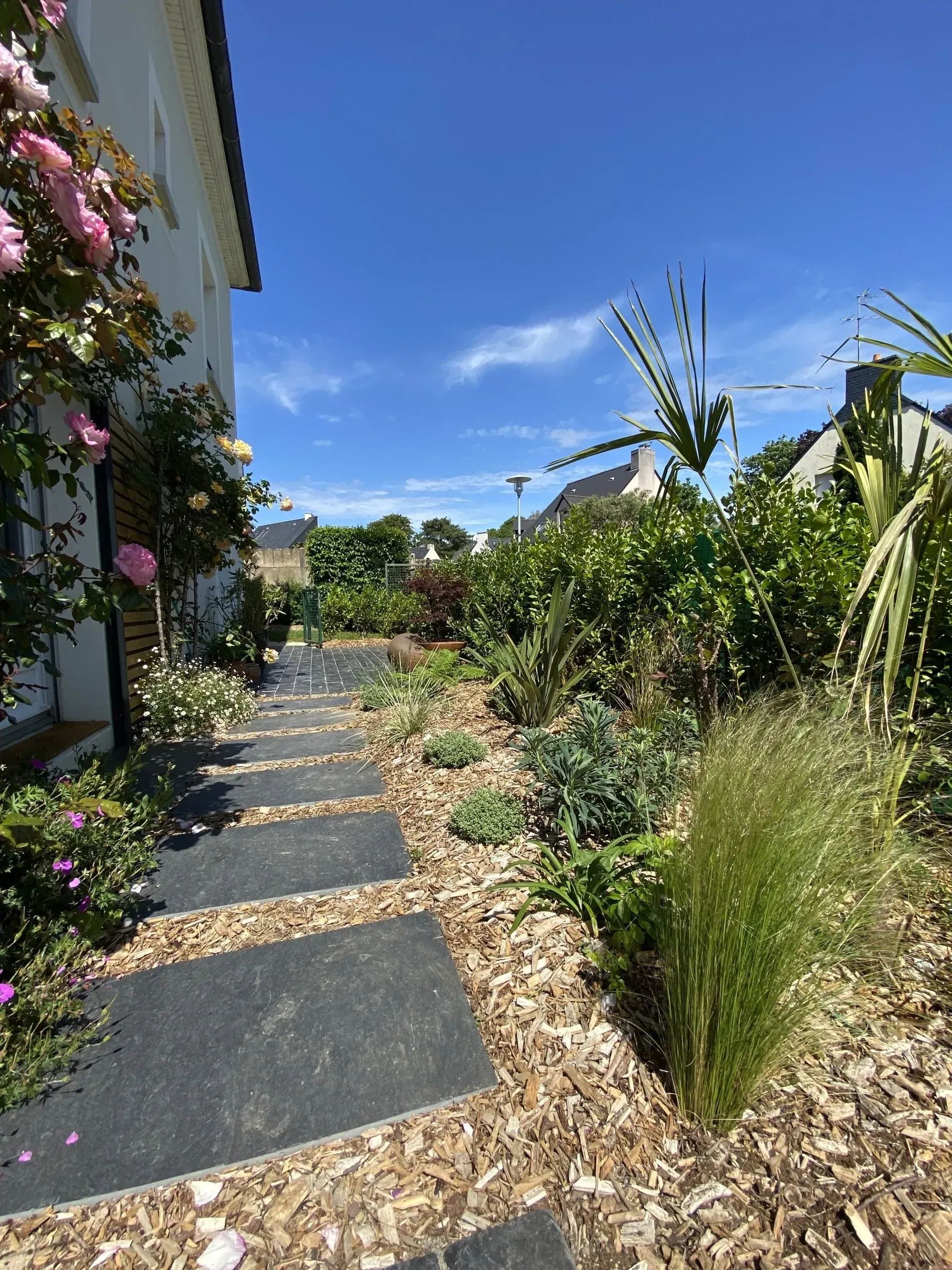 Allée de jardin bordée de vignes fleuries et de plantes tropicales sous un ciel d'un bleu éclatant.