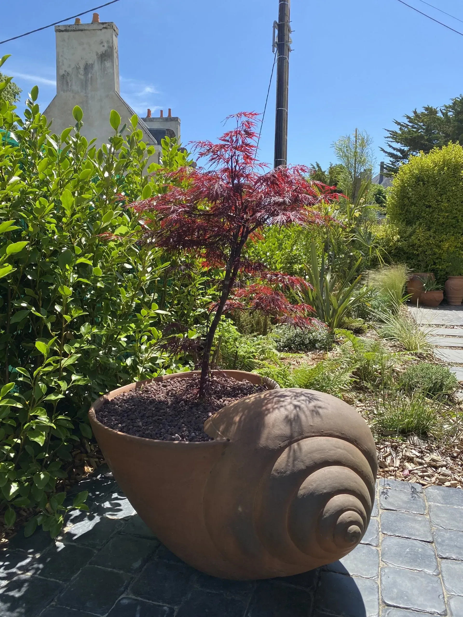 Grand pot de fleurs en terre cuite en forme d'escargot avec un arbuste rouge dans une allée de jardin ensoleillée.
