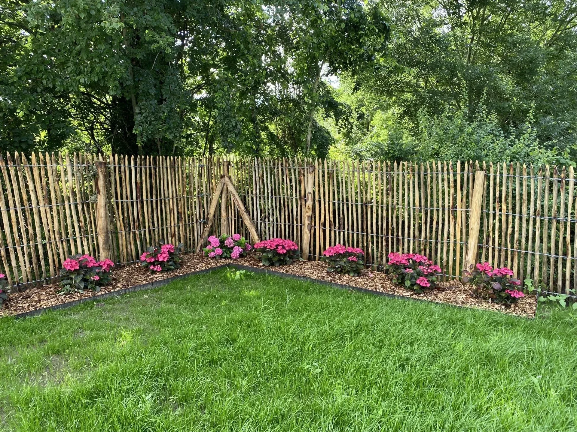 Bordure de jardin arrière avec des fleurs roses le long d'une clôture en bambou et d'une pelouse verdoyante luxuriante.