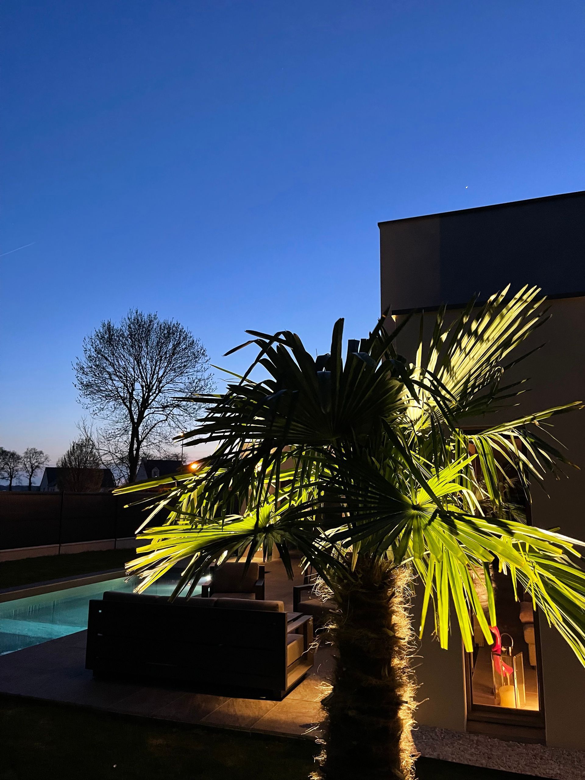 Palmier illuminé au crépuscule près d'une piscine et d'une terrasse, sous un ciel bleu clair.