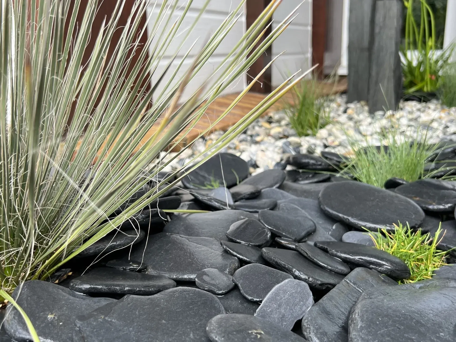 Pierres décoratives noires et graminées ornementales piquantes dans un parterre de jardin aménagé.