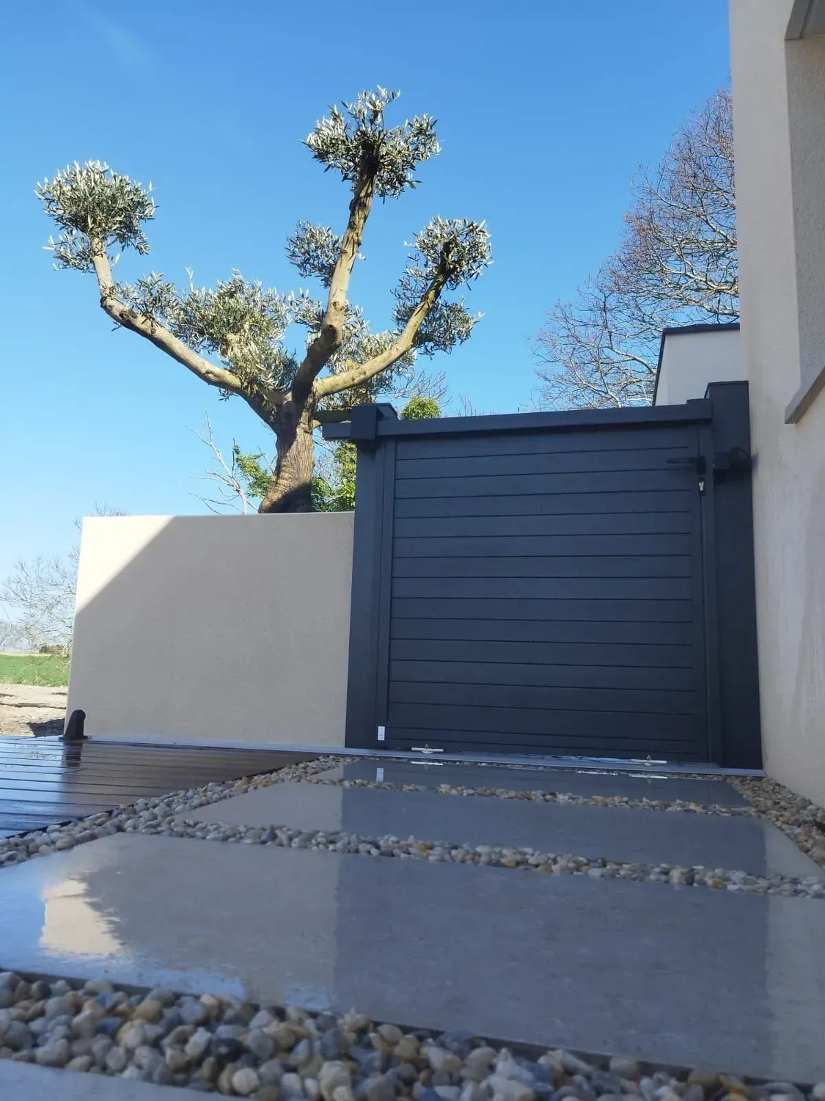 Entrée d'une maison moderne avec un portail sombre, un mur blanc, une allée carrelée et un arbre sculpté sous un ciel bleu.