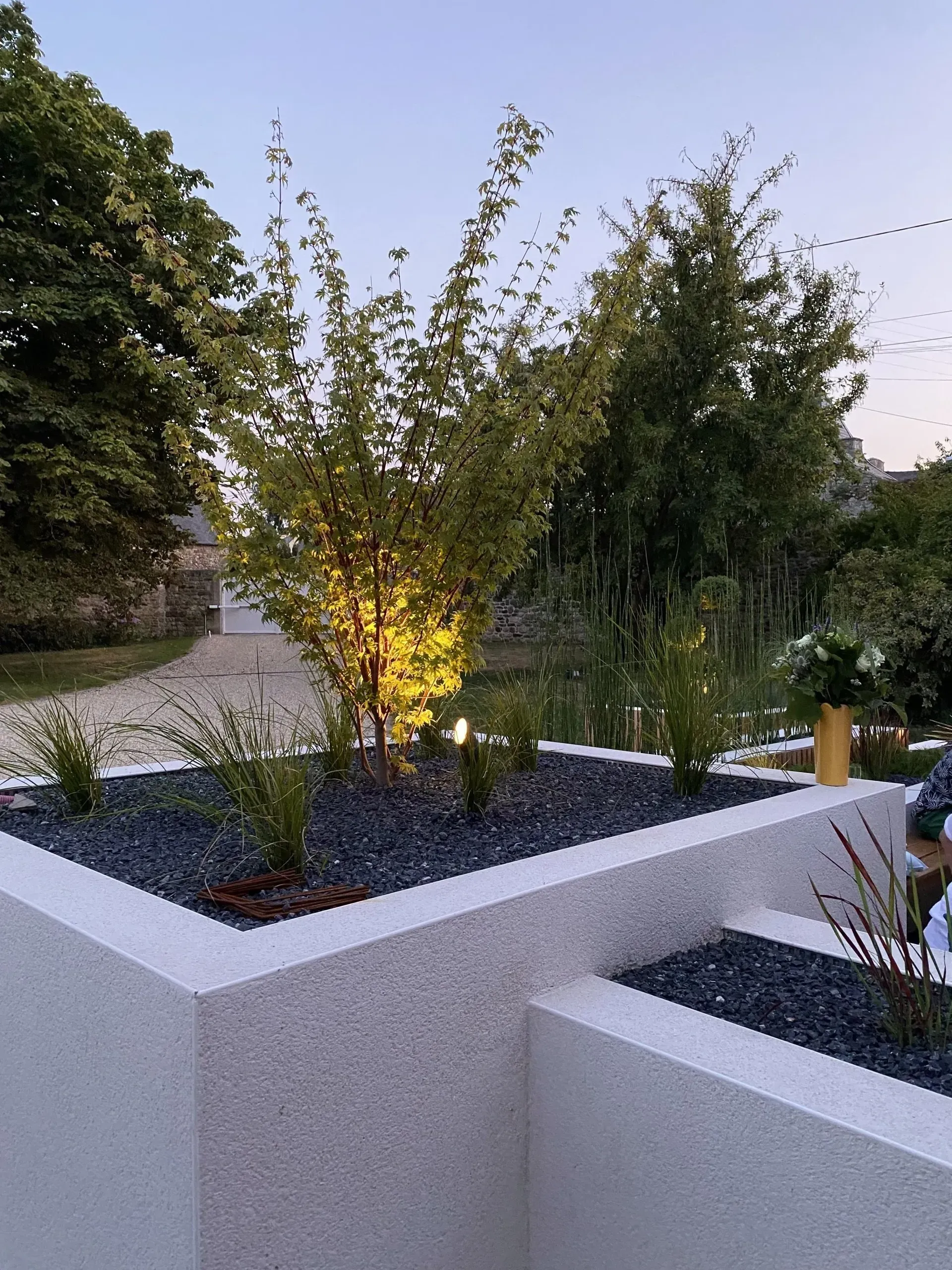 Jardinières paysagées modernes avec arbres d'ornement illuminés au crépuscule.