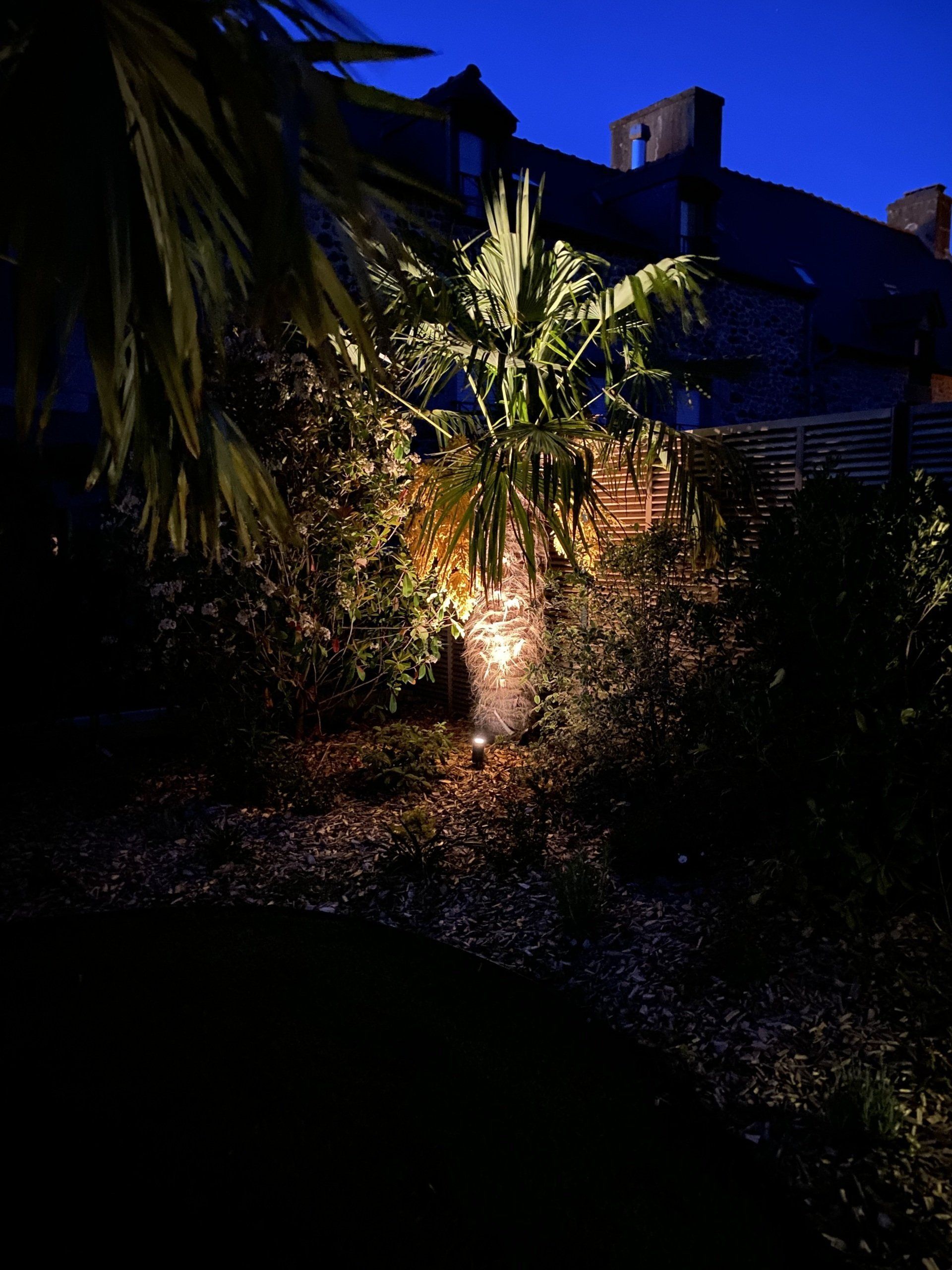 Jardin nocturne avec un palmier illuminé et la silhouette d'une maison en briques se détachant sur un ciel bleu foncé.