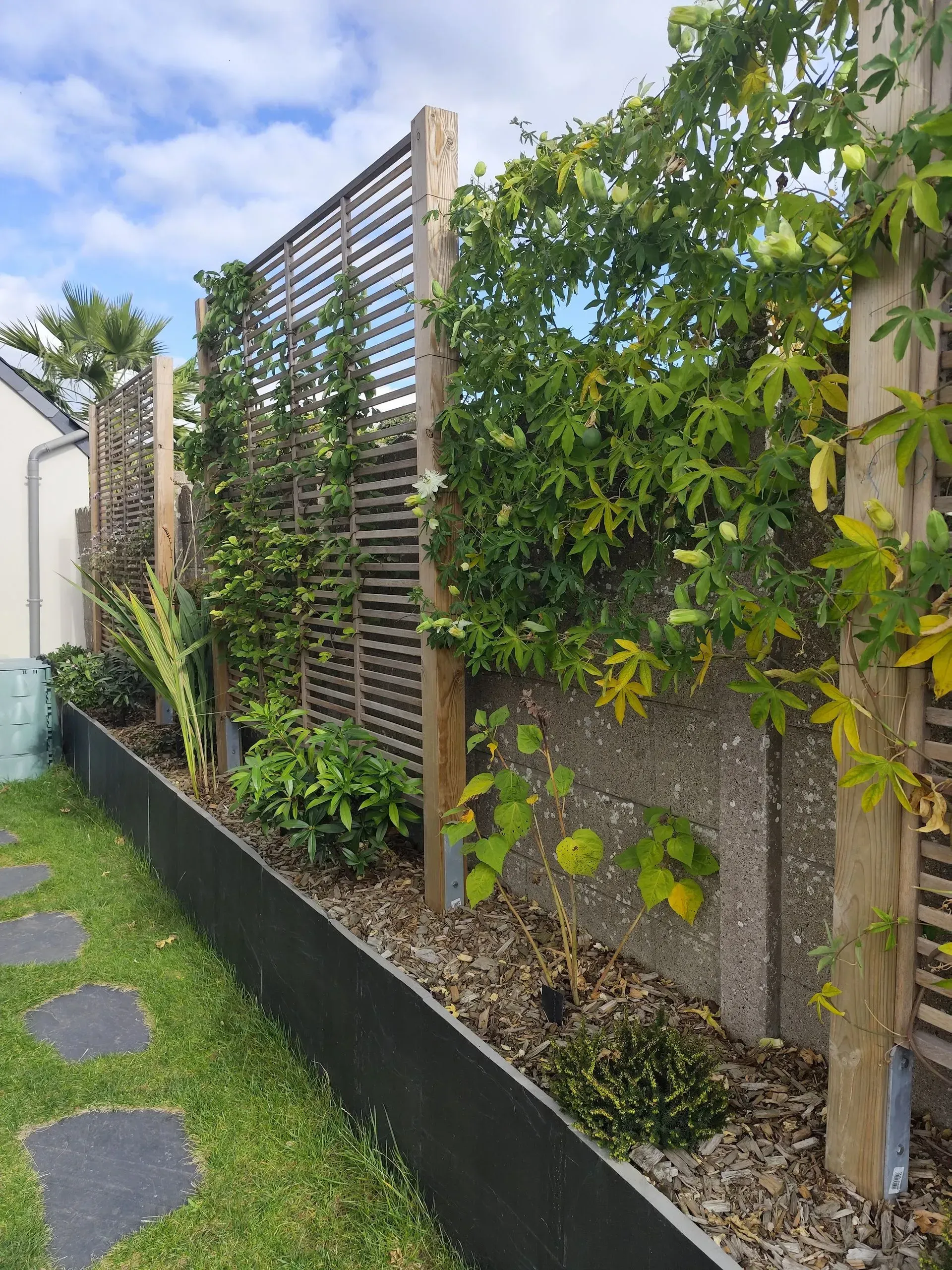 Clôture de jardin moderne à lattes verticales, végétation luxuriante, gravier et dalles de jardin le long d'un chemin.