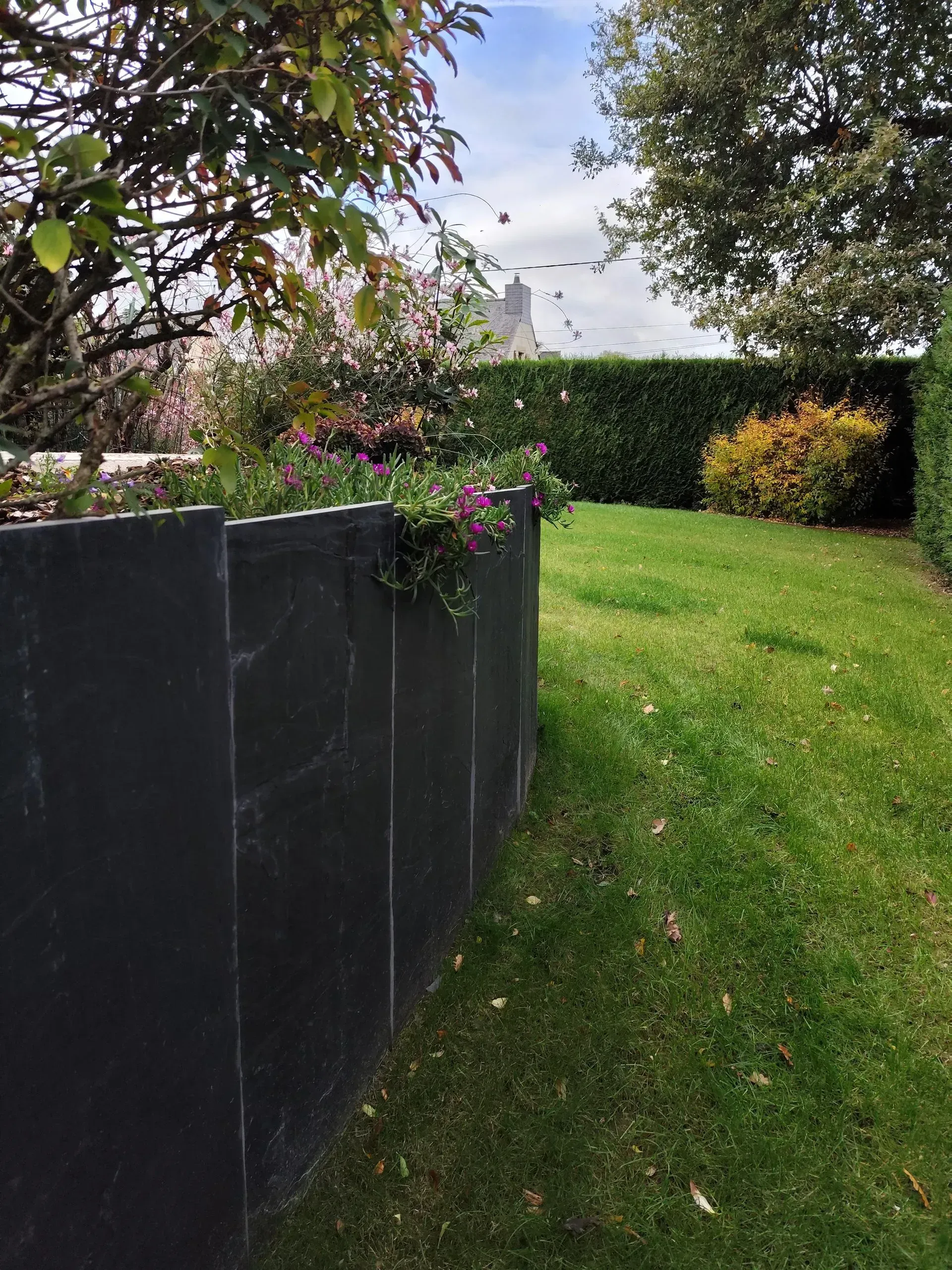 Jardin avec pelouse verte, clôture noire, buissons fleuris et ciel nuageux.