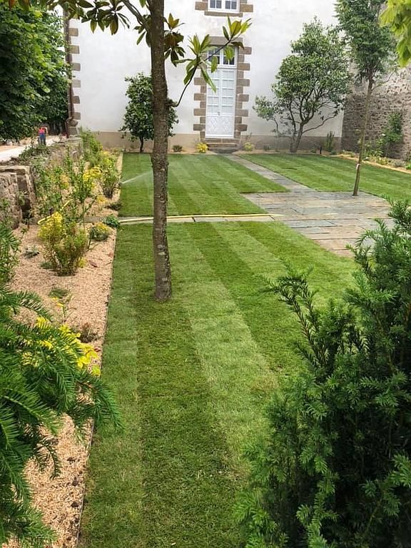 Jardin paysager avec pelouse verte, allée de pierres et petits arbres le long d'un mur blanc.