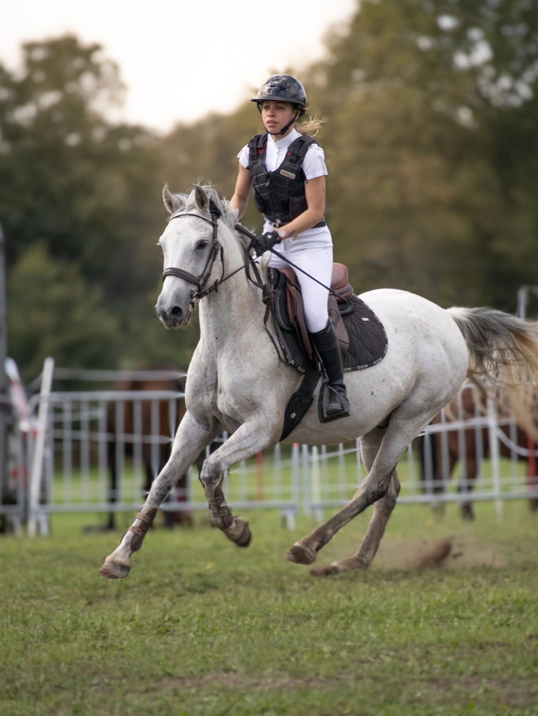 Un cavalier sur un cheval blanc au galop dans un champ verdoyant, avec une haie d’obstacles en arrière-plan