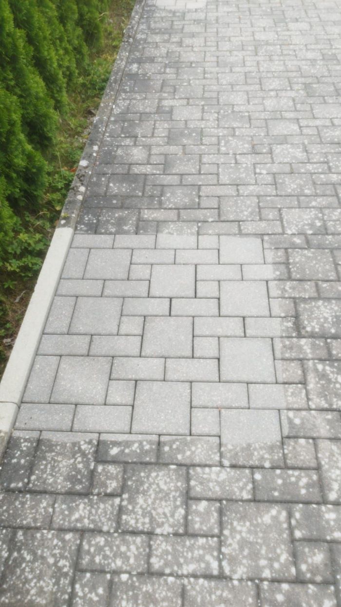 Ziegelweg mit verstreuten weißen Blütenblättern neben einer Hecke.